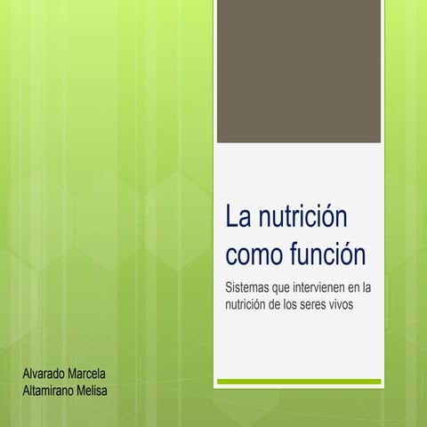 La nutrición como función del organismo