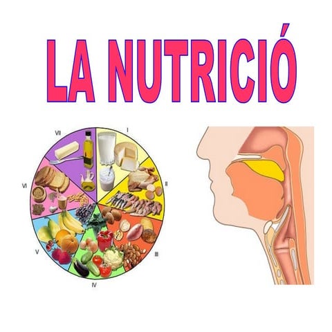 La nutrició i l'alimentació