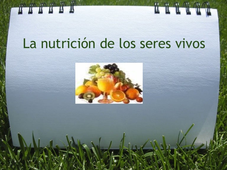 La nutrición de los seres vivos