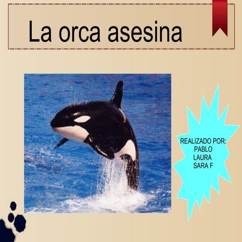 La orca | PPT