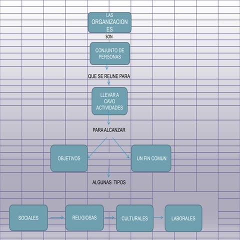 La organizacion y  la mercadotecnia