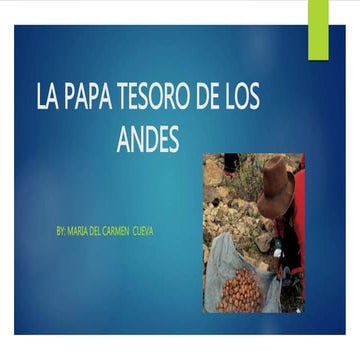 LA PAPA TESORO DE LOS ANDES 