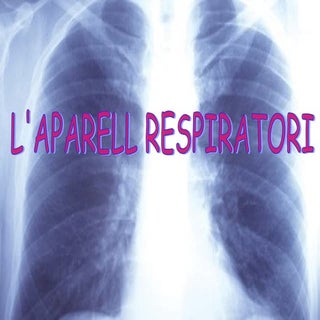 L'APARELL RESPIRATORI