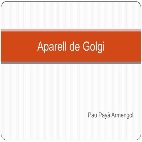 L'aparell de golgi