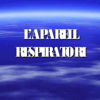 L’aparell respiratori