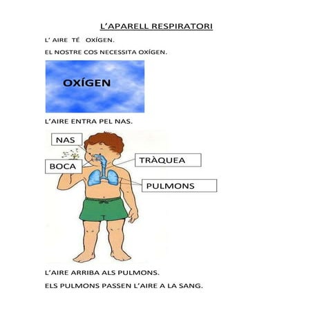 Coneixement del medi. Cicle Inicial. Reforç.L'aparell respiratori. L'aparell ...