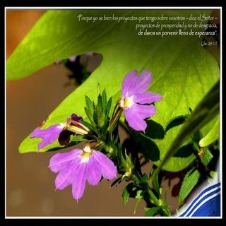 La parte de Dios. Estudio de  finanzas