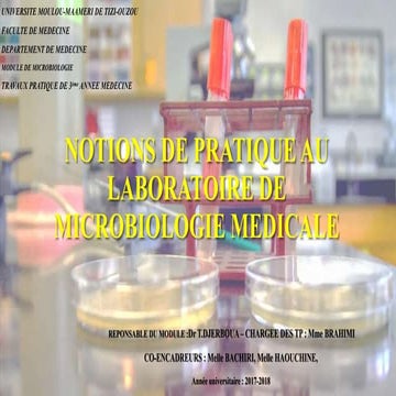 La partique au laboratoire de microbiologie