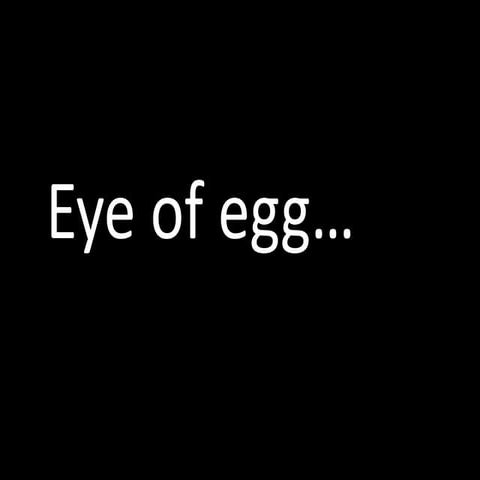 EYE OF EGG...ROCKEGG CONTRA HUEVO CREED