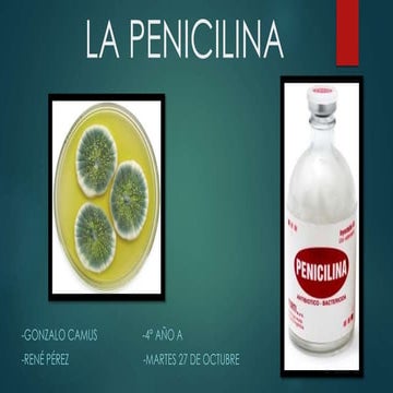 La penicilina