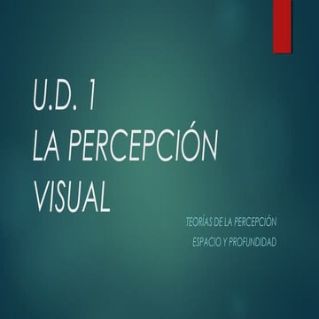 La percepción visual