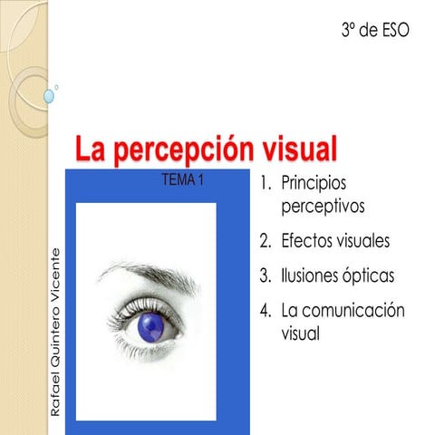 La percepción visual y lectura de imágenes