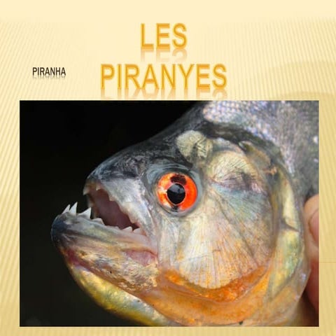 La piranya