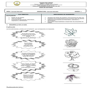 La planta y sus partes