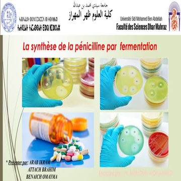 LA pénicilline Synthèse Par la Biotechnologie.ppt