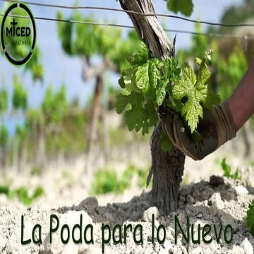 La Poda para lo Nuevo.pptx