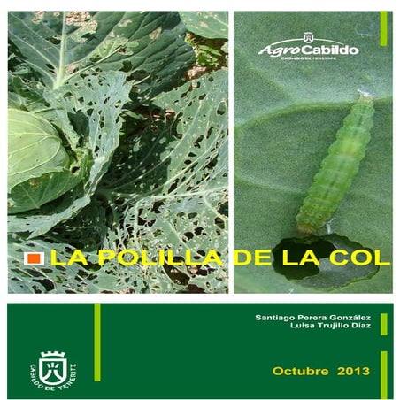 La polilla de la col