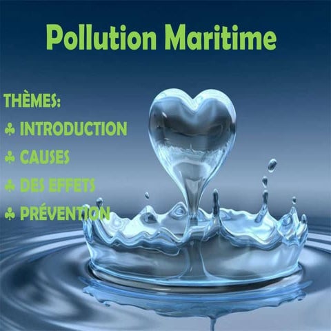 La pollution maritime - Trabalho de Frances 8º ano