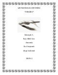 PARAGRAF (ppt)