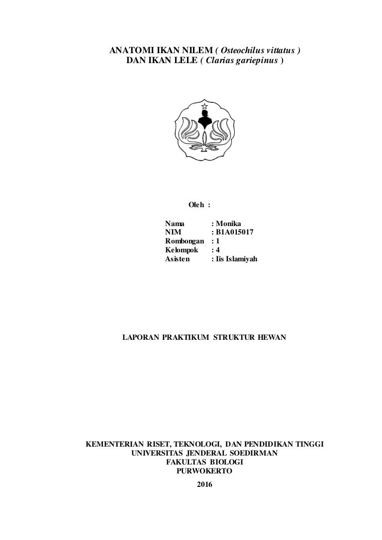 41+ Anatomi Ikan Nilem Dan Ikan Lele