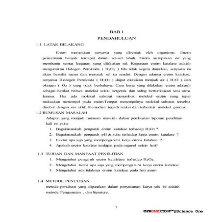 Laporan enzim katalase