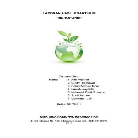 Laporan Hasil Praktikum Hidroponik Cabe & Bayam