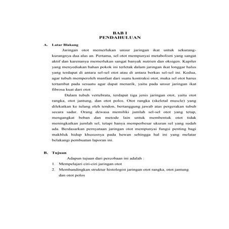 Laporan jaringan otot