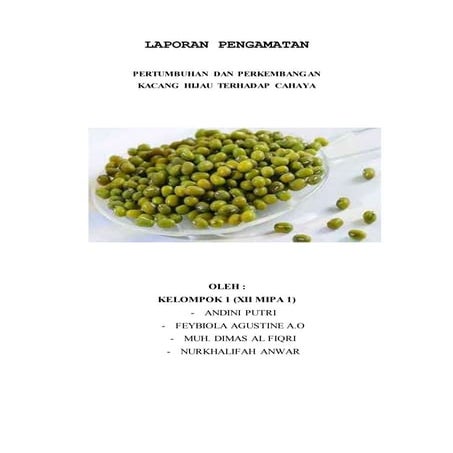 Laporan Pengamatan Kacang Hijau