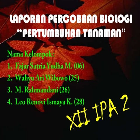 Laporan percobaan biologi pertumbuhan tanaman
