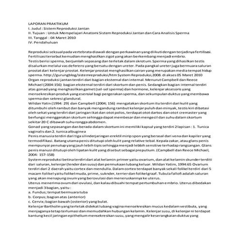 Laporan praktikum