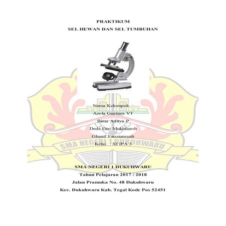 Laporan Praktikum Mikroskop