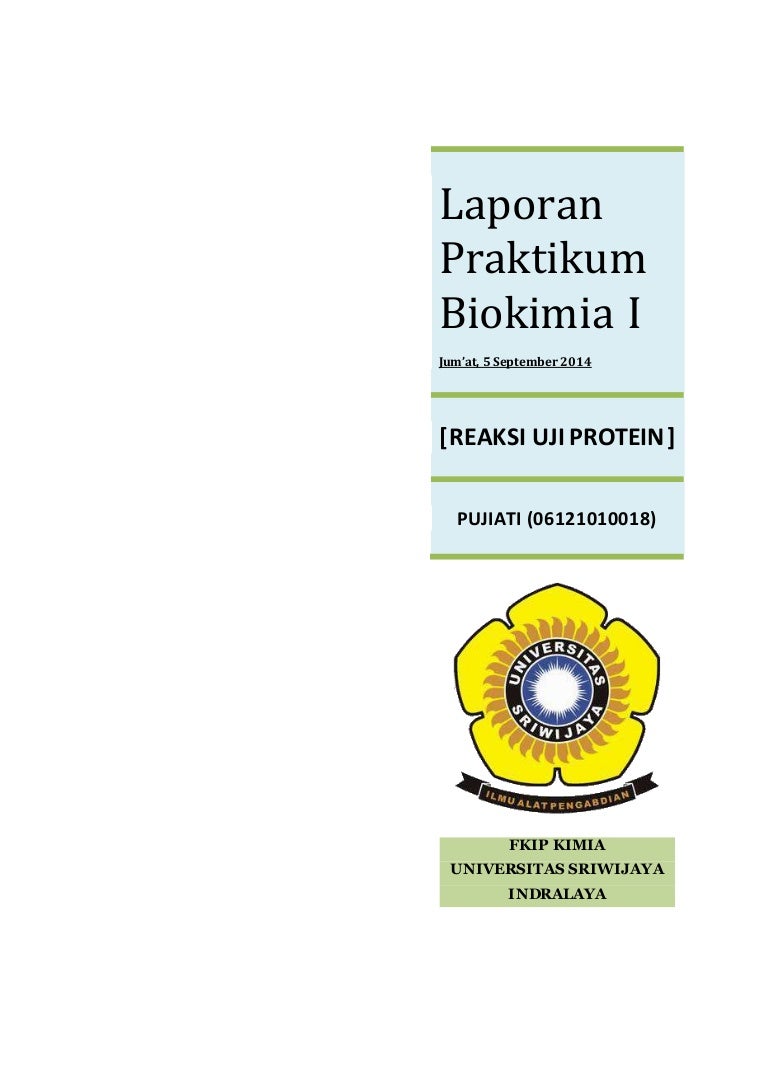 Laporan Praktikum Uji Protein Dg Uji Biuret