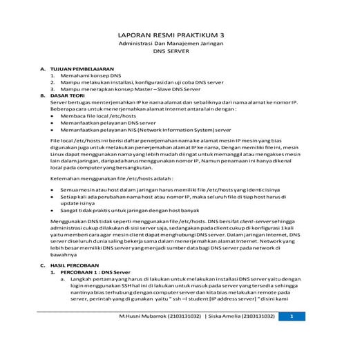 Laporan resmi praktikum 3 DNS Server