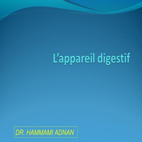 L’appareil digestif 1