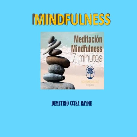 La Practica del Mindfulness en las Organizaciones Ccesa007.pdf