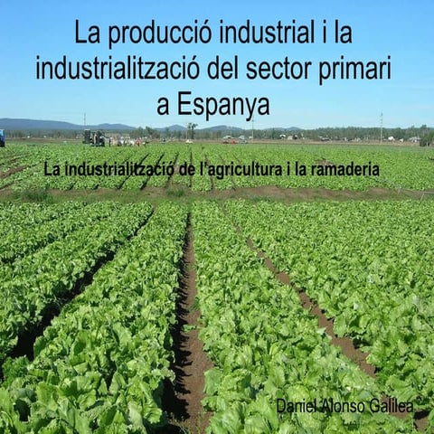 La producció industrial i la industrialització del sector