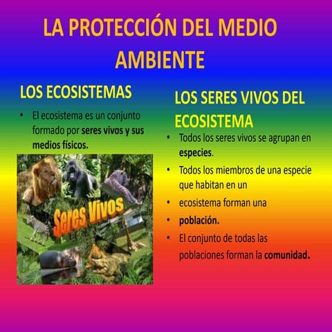 La protección del medio ambiente | PPTX
