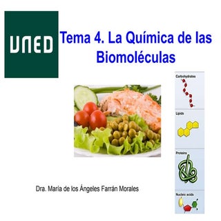 La quimica y la vida : Química orgá...