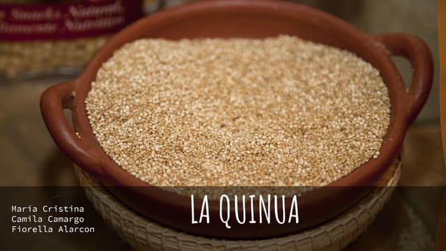 La quinua