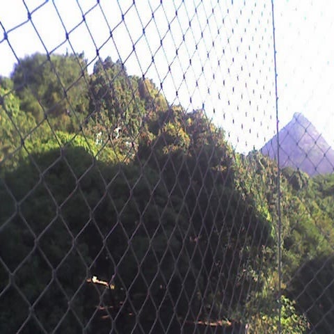 Laranjeiras Leite Leal