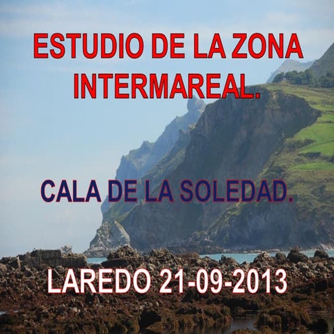 Laredo_intermareal