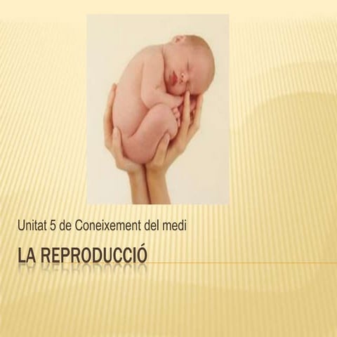 La Reproducció