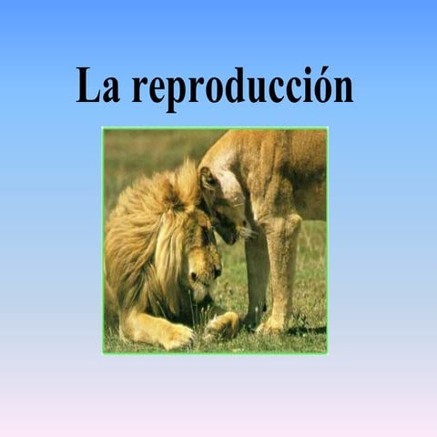 La reproducción