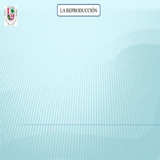 La reproducción. mapa conceptual. e...
