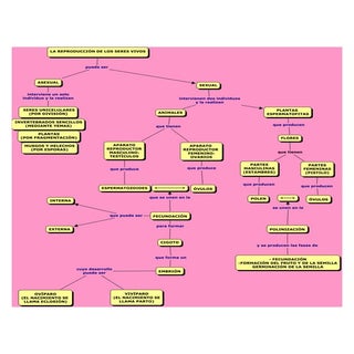 La ReproduccióN De Los Seres Vivos