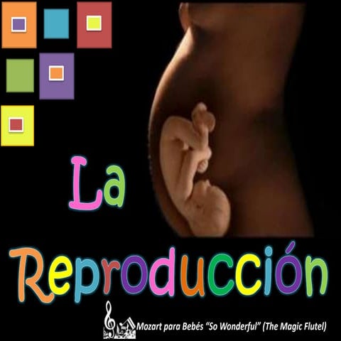La reproduccion