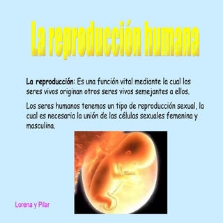 La reproducción humana- Lorena y Pilar