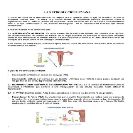La reproduccion humana at ra