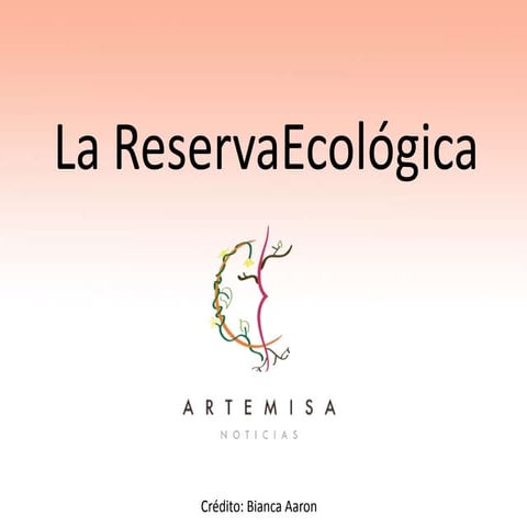La reserva ecológica