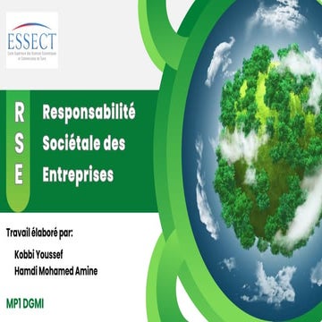 La responsabilité sociétale de l'entreprise (1).pdf